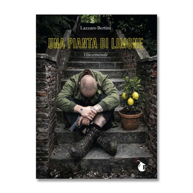 Una pianta di Limone